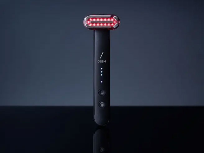 ディズム EMS EER メディスキンケアデバイス BOT-2310