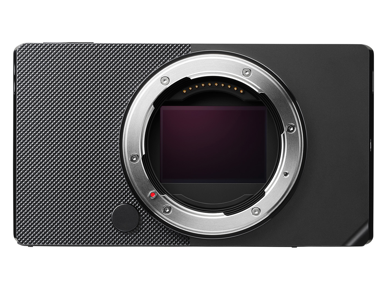 Sigma BF ボディ [ブラック]