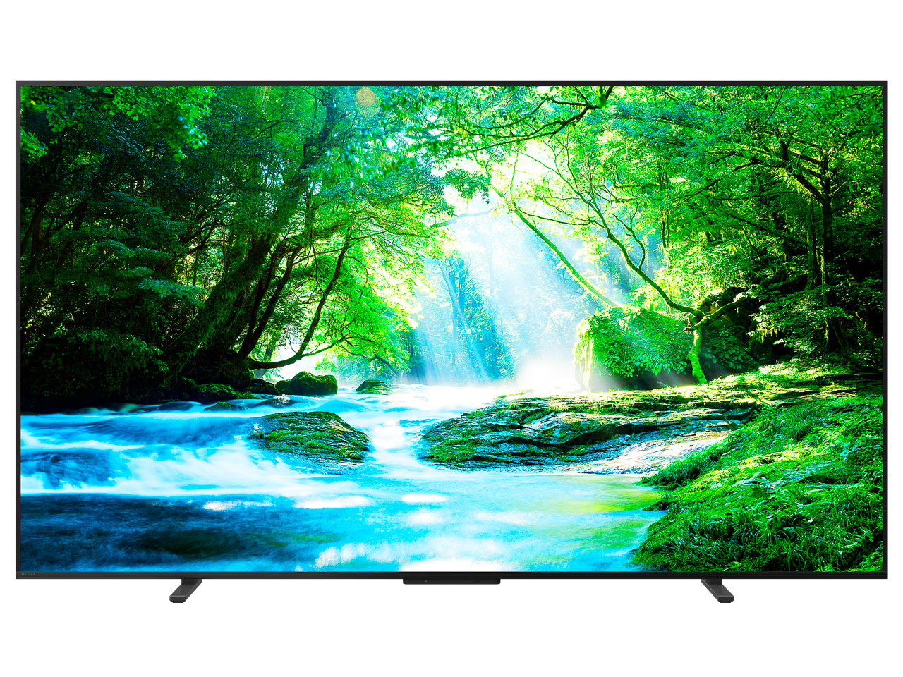 REGZA 100Z770N [100インチ]