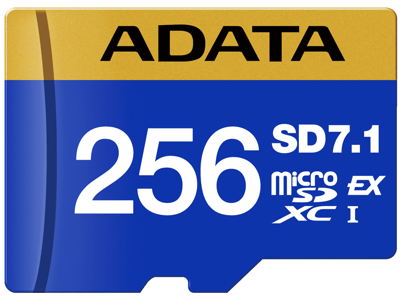 Premier Extreme UD256GEX3L1-C [256GB]