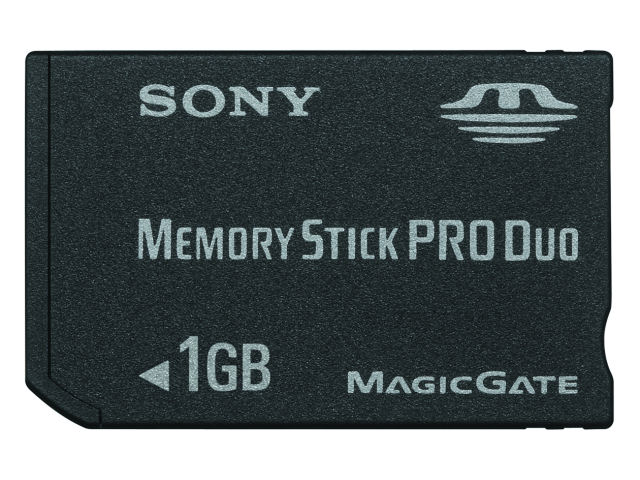 MSX-M1GST (1GB)
