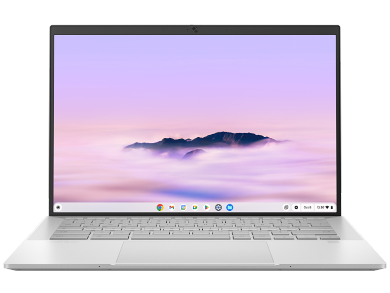 ExpertBook CX54 Chromebook Plus Enterprise(CX5403) CX5403CMA-QM0178 [フォグシルバー]