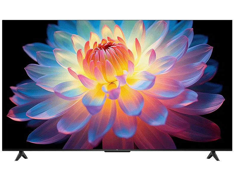 65P61K [65インチ]