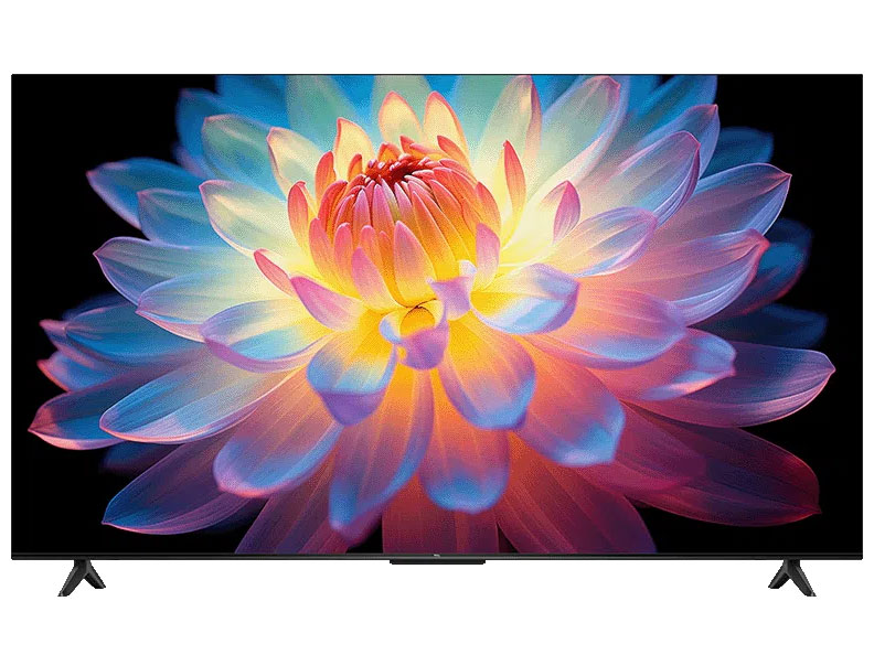 43P61K [43インチ]