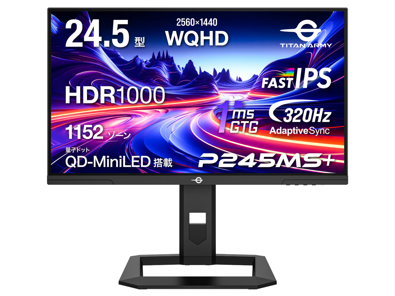 P245MS+ [24.5インチ ブラック]