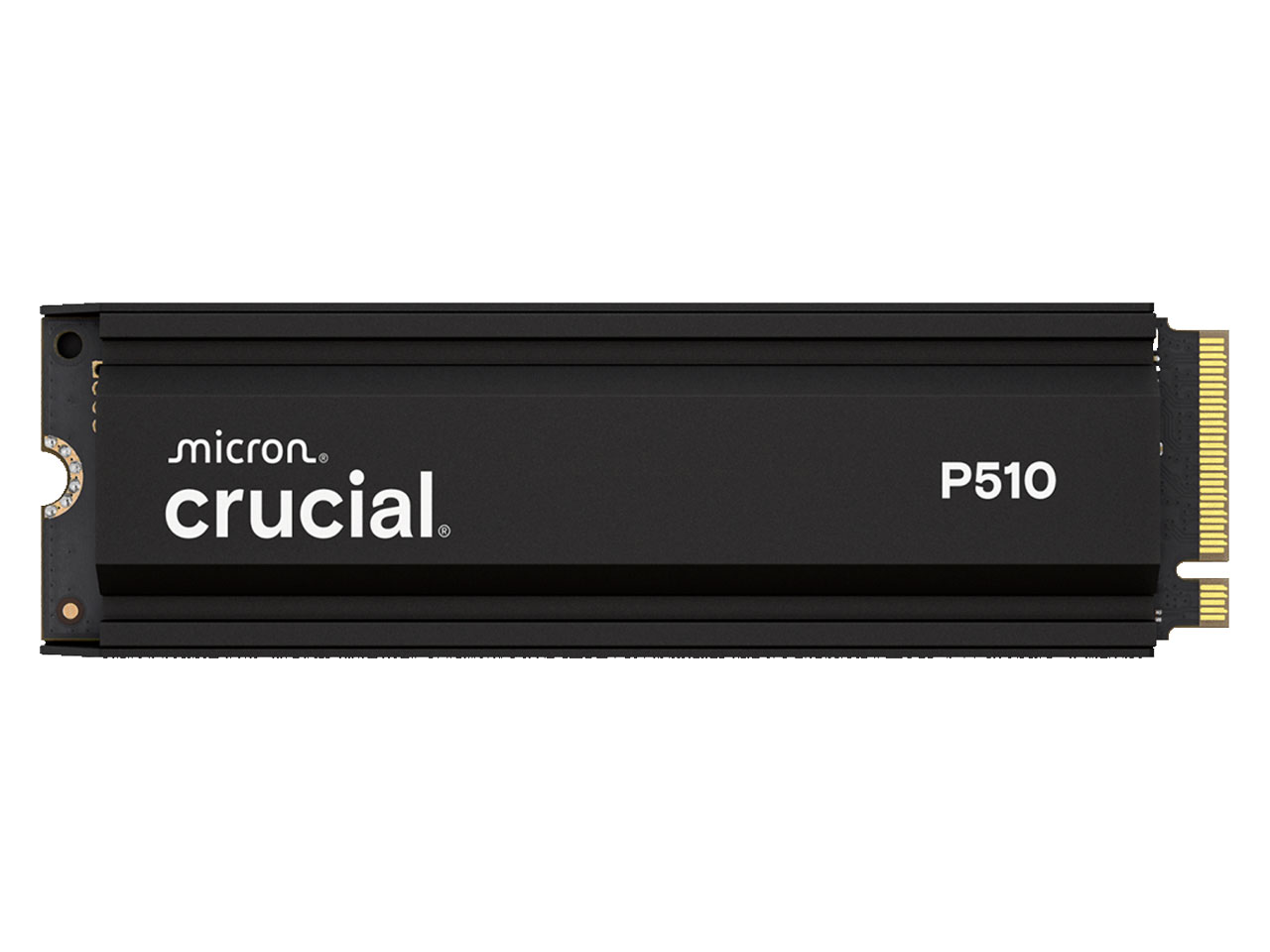 P510 CT1000P510SSD5-JP