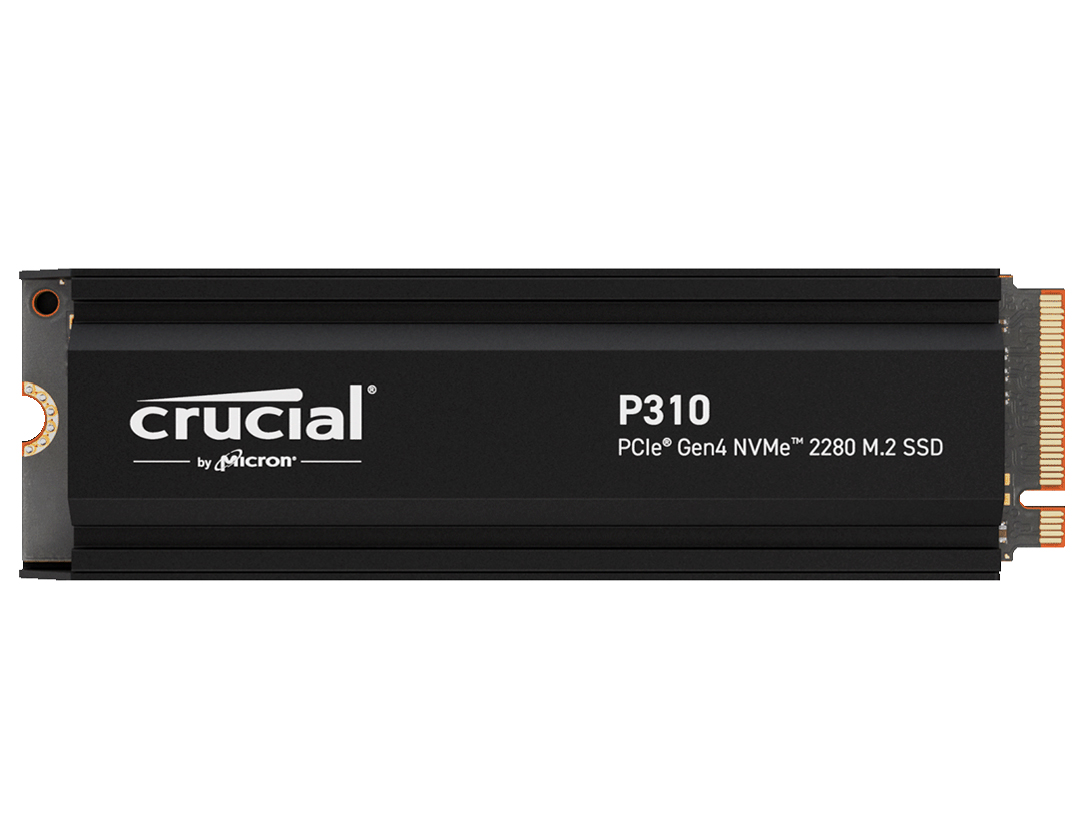 P310 CT2000P310SSD5-JP