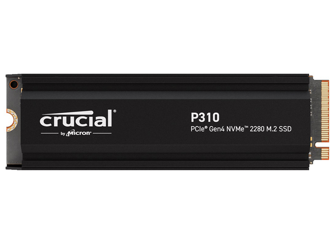 P310 CT1000P310SSD5-JP