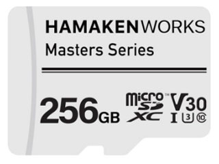 HW-MSD256GT1 [256GB]