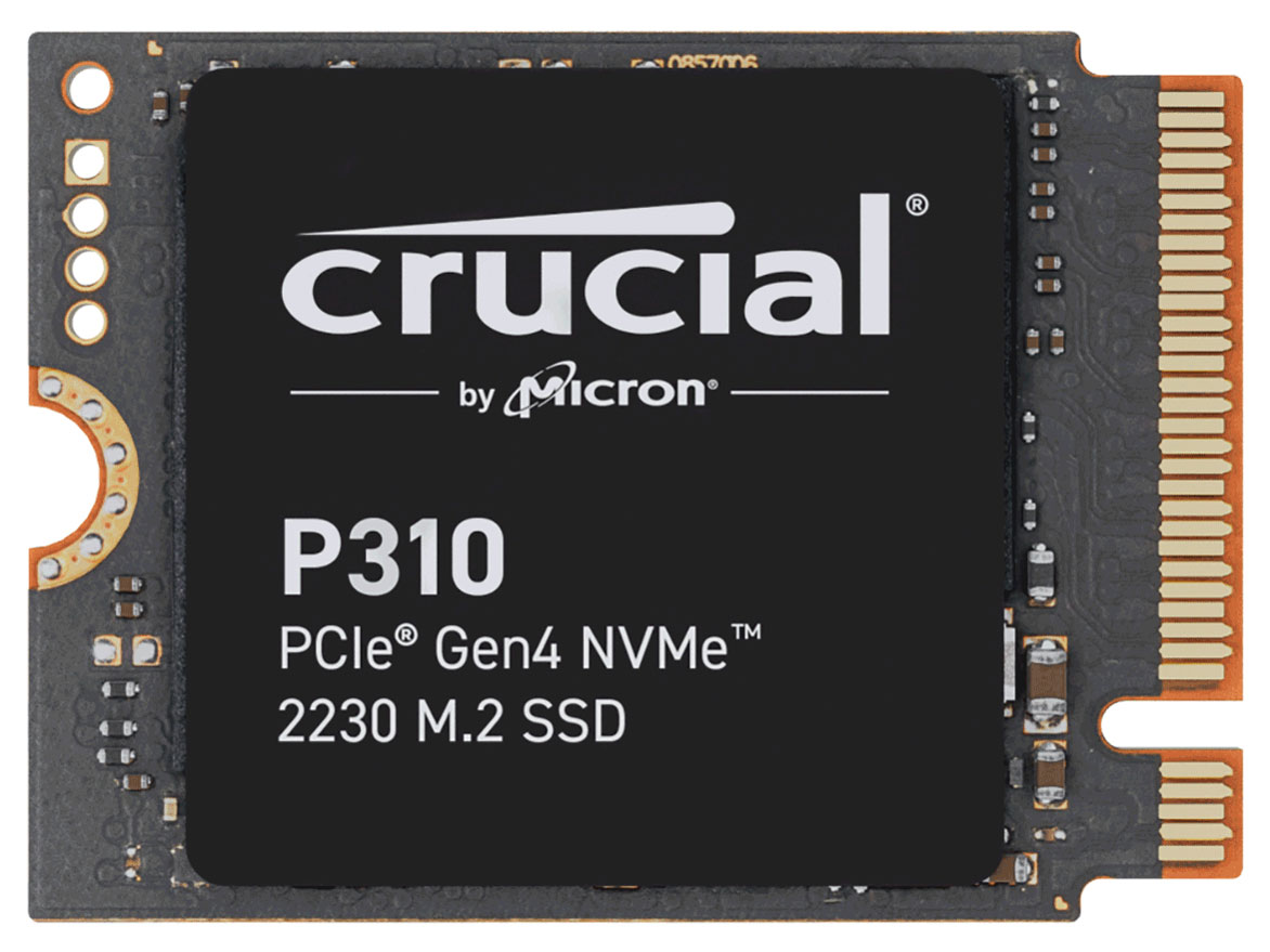 P310 CT1000P310SSD2-JP