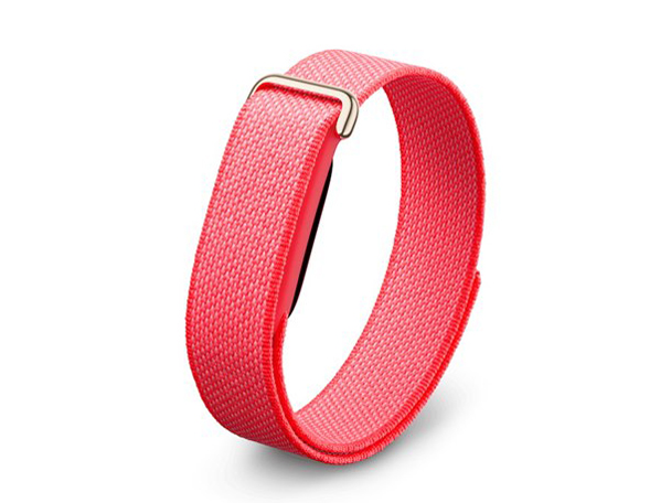 Fitbit Air GA11016-AU [Berry]