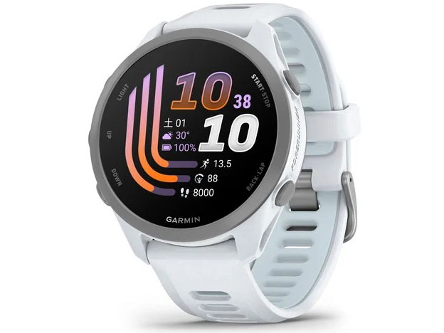 Forerunner 170 010-03920-41 [Whitestone/Cloud Blue]