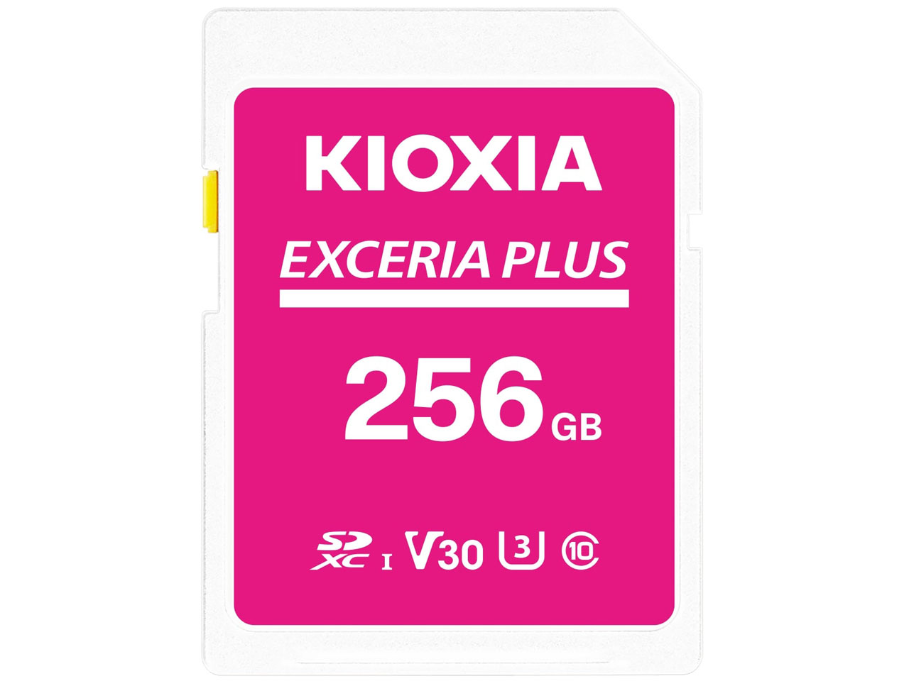EXCERIA PLUS KLNPAE256G [256GB]