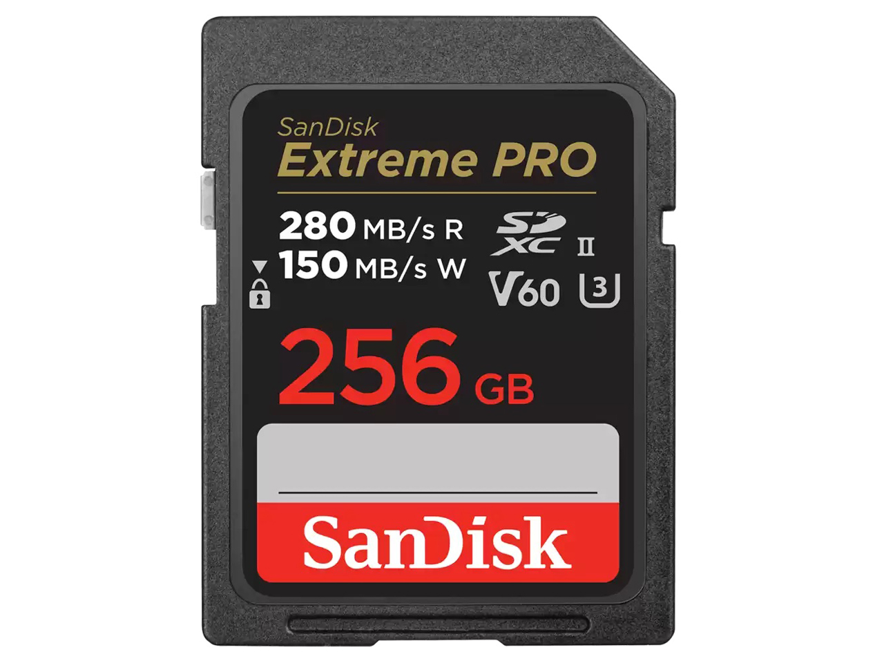 SDSDXEP-256G-GN4IN [256GB]