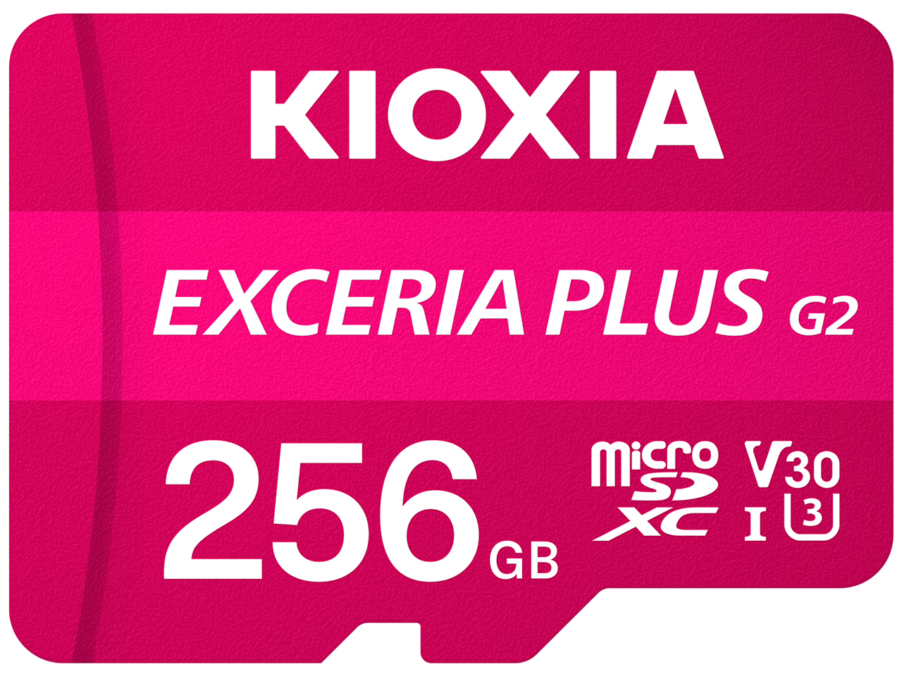 EXCERIA PLUS G2 LMPL2M256GG2 [256GB]