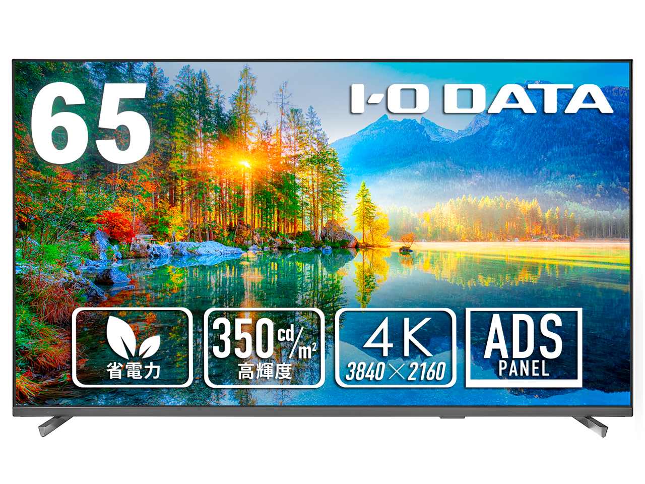 DI-U651DX [65インチ ブラック]