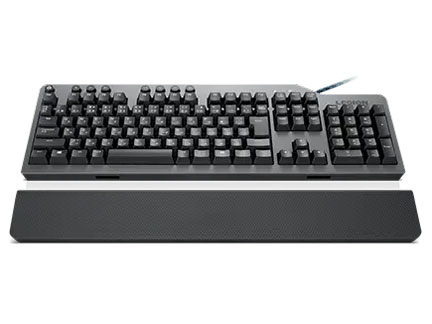 GY40V42771 赤軸 [アイアングレー/ブラック]