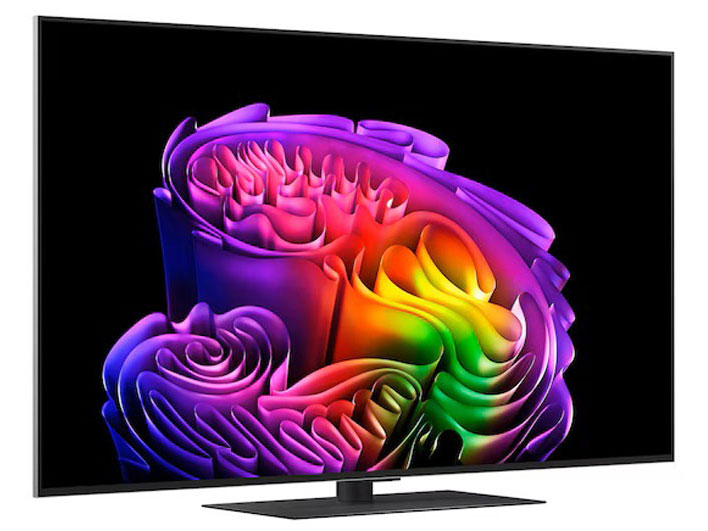 OLED55G6PJB [55インチ]