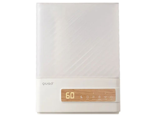 ERU MOIST PLUS QS541-IV [アイボリー]