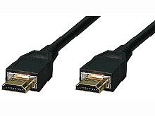 ADV-798 [10m]