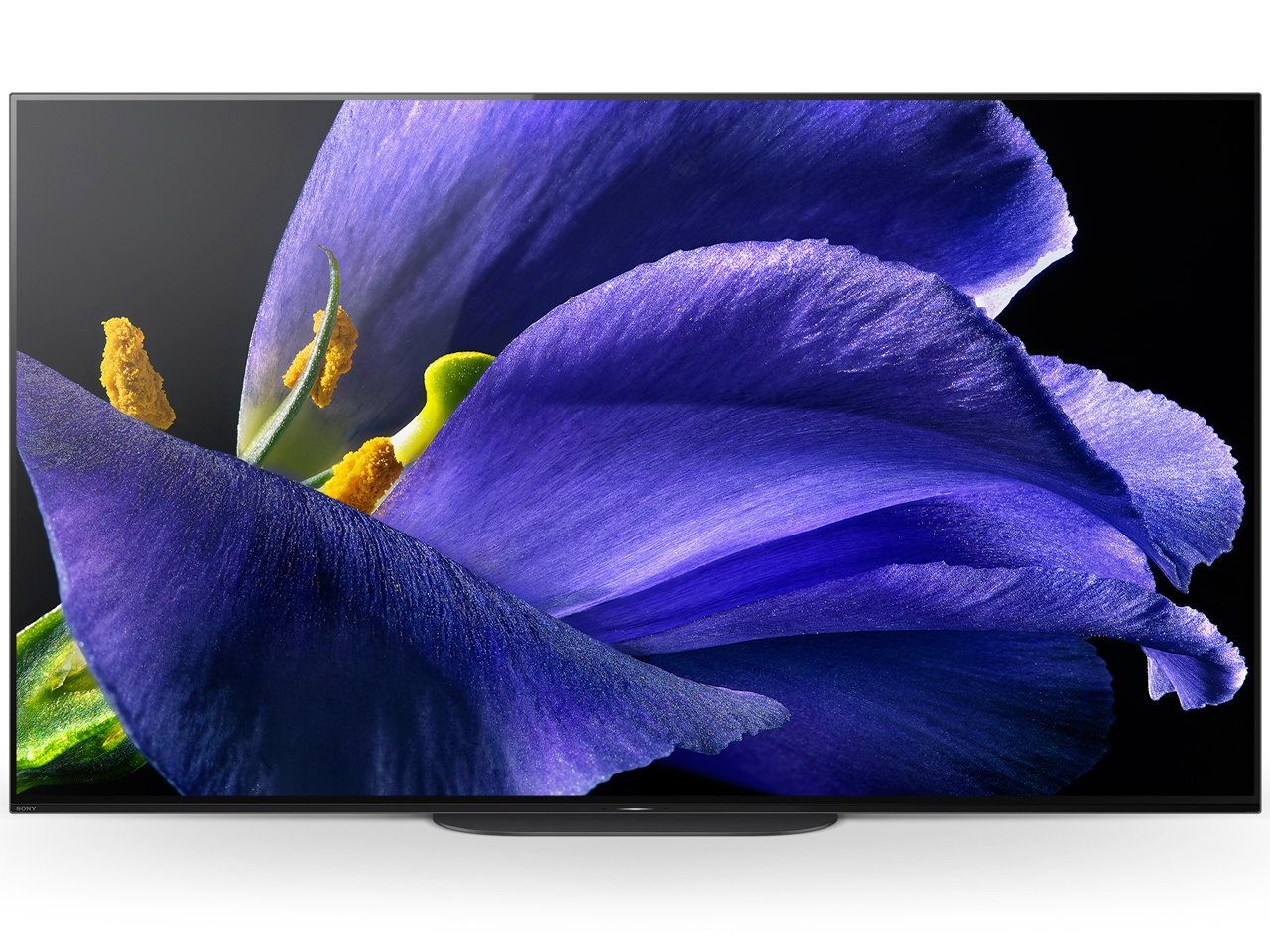 BRAVIA KJ-65A9G [65インチ]