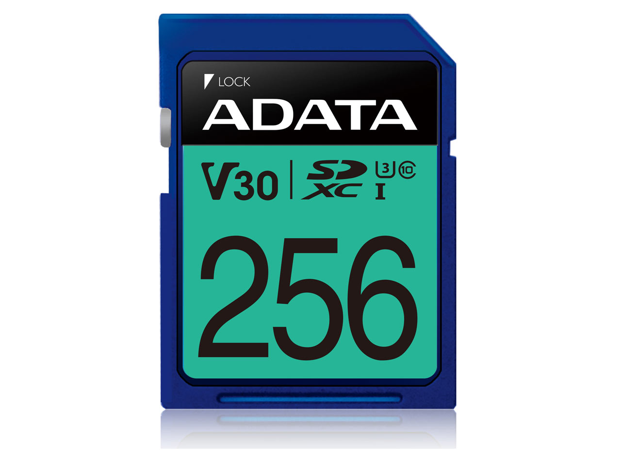 ASDX256GUI3V30S-R [256GB]