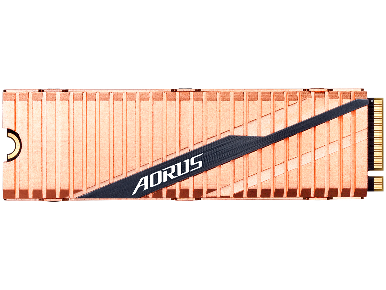 AORUS GP-ASM2NE6100TTTD