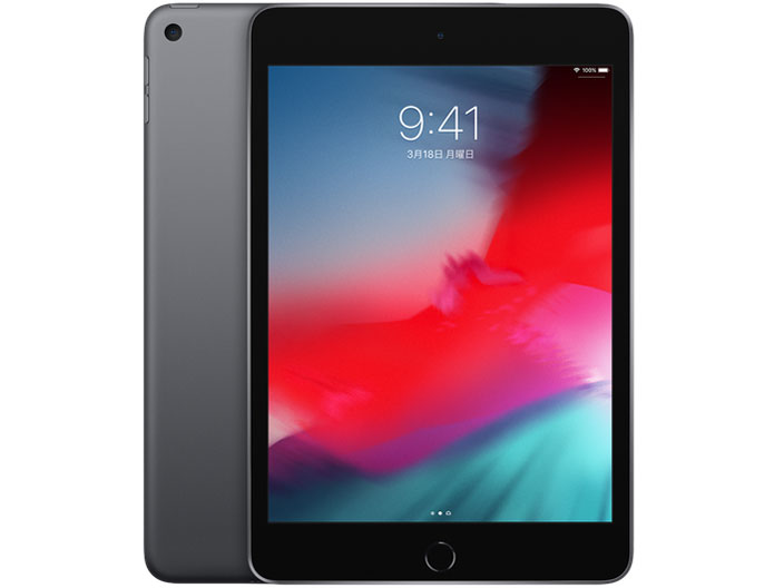 iPad mini 7.9インチ 第5世代 Wi-Fi+Cellular 256GB 2019年春モデル MUXC2J/A SIMフリー [スペースグレイ]