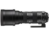 150-600mm F5-6.3 DG OS HSM Sports [ニコン用]