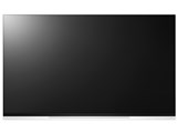 OLED55E9PJA [55インチ]