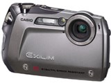 EXILIM G EX-G1 SR [シルバー]
