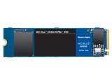 WD Blue SN550 NVMe WDS100T2B0C