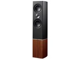 Tannoy Platinum F6 [単品]