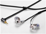 CF-IEM 2.5φ L