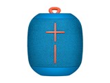 UE WONDERBOOM WS650BL [Subzero]