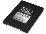 GH-SSD256GS-2MA