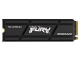 FURY Renegade SSD SFYRSK/500G