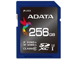 ASDX256GUI3CL10-R [256GB]