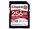 SDR2/256GB [256GB]