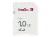 SDSDG-1024-J60 (1GB)