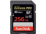 SDSDXPA-256G-G46 [256GB]