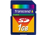 TS1GSDC (1GB)