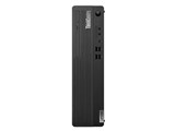 ThinkCentre M75s Small Gen 5 12T9S00900