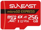 SE-MSE256G20P1F [256GB]