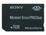 MSX-M1GST (1GB)