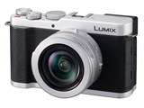 LUMIX DC-L10-S [シルバー]
