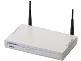 LAN-W300AN/AP