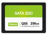 Q55-256GSY04