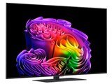 OLED55G6PJB [55インチ]