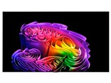 OLED83G6PJA [83インチ]